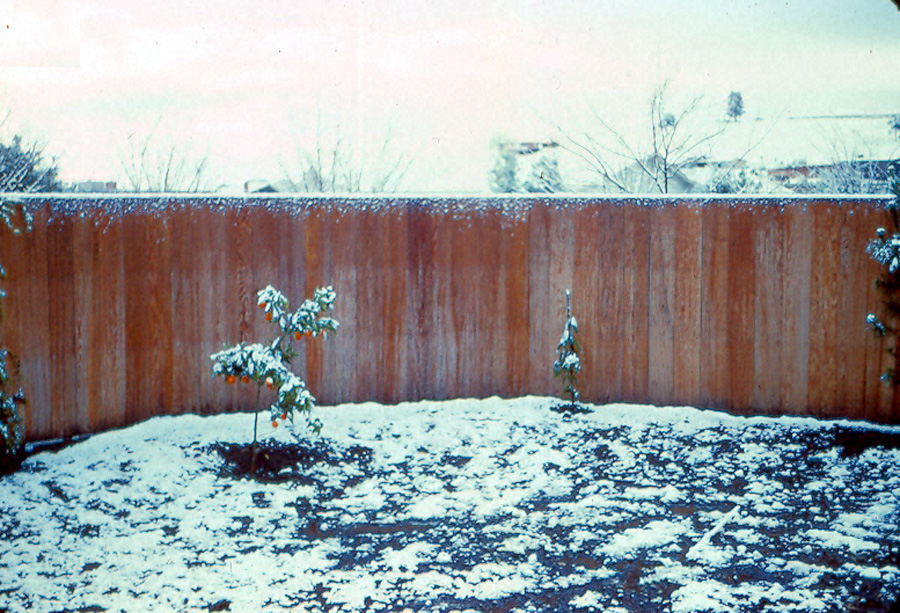 Box22 026 716 backyard of snow 1-21-62